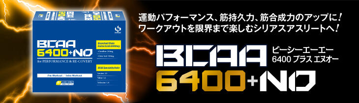 BCAA6400NO_top_banner.jpg