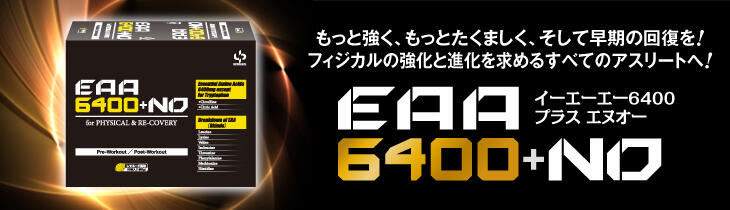 EAA6400_topbanner.jpg